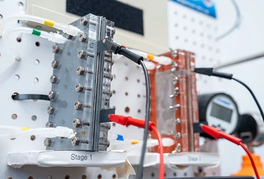 Custom electrodialysis setup