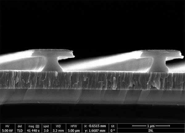 Scanning electron microscopy cross section image of T-shaped nanostructures, created with nanoimprint lithography