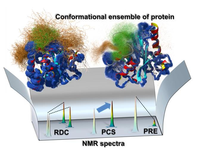 Ensemble map of protein structure