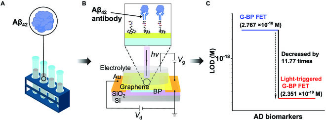Schematic diagram of G-BP FET biosensor operation procedure