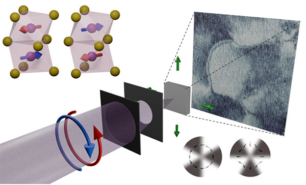 Schematic of X-ray magnetic circular dichroic scanning transmission x-ray microscopy, with the experimental observation of altermagnetic domains and topological nanotextures in MnTe