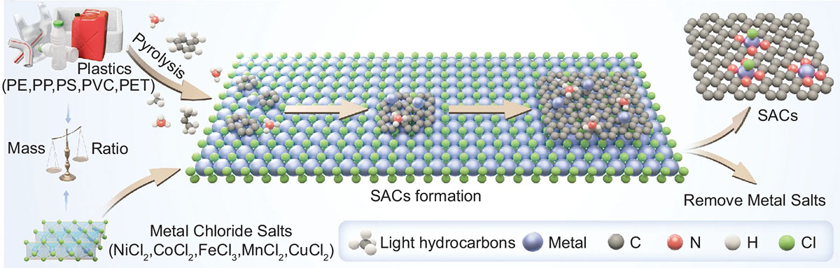 Schematic illustration of single-atom catalysts (SACs) derived from plastics and transition metal salts