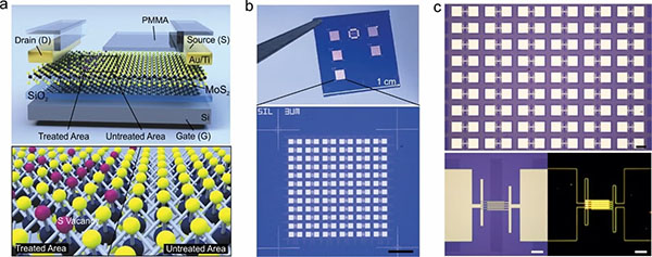 MoS2 memtransistor