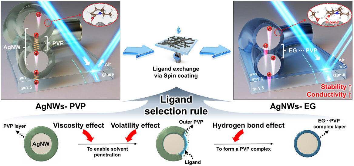 Schematic illustration of the fabrication process for ligand-exchanged silver nanowires (AgNWs) electrode via spin-coating, along with the corresponding ligand selection rule.