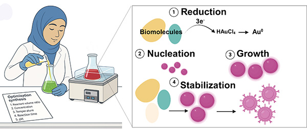 Green synthesis of algal-mediated gold nanoparticles