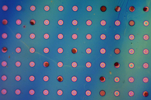 polymer film