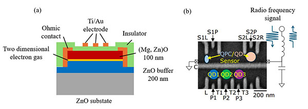 schematic of ZnO device