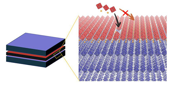Illustration of epitaxial growth of perovskite heterostructures