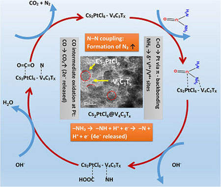 Interface-Driven Catalyst Design Transforms Clean Hydrogen Production and Urea Conversion