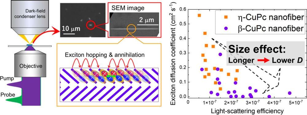 Femtosecond Single-Particle Spectroscopy of Exciton Diffusion in Individual Copper Phthalocyanine Nanofibers