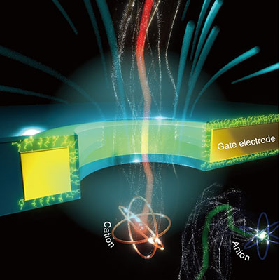 Schematic model depicting Peltier cooling by cation-selective ion transport in a gate-all-around nanopore