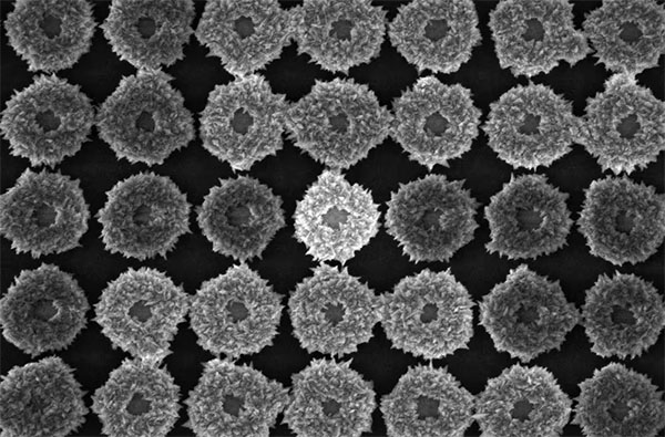 High-resolution SEM images capturing how gold nanodisks transform into more complex nanoscale architectures