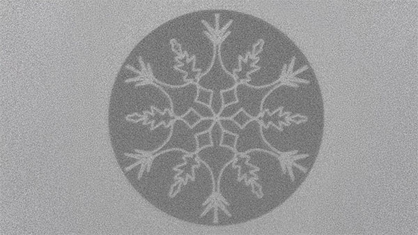microscopic snowflake structure