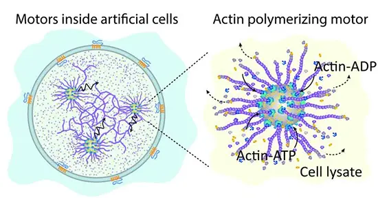 Artificial cell graphic