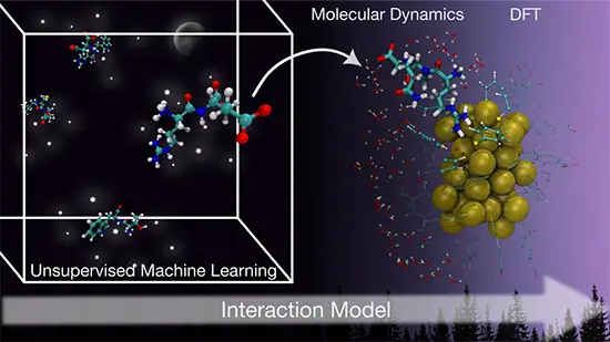 Machine Learning model predicts protein binding on gold nanoclusters ...