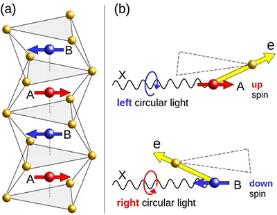 Uncovering altermagnetism in manganese telluride