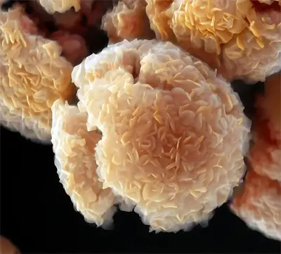 A colorized scanning electron microscopy (SEM) image of MXene