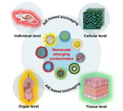 aggregation-induced emission-based bioimaging for assessing the environmental impact of emerging nanoscale pollutants