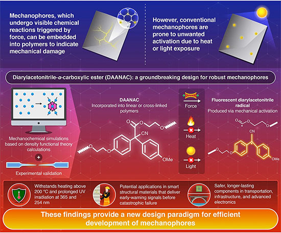Designing Mechanically Responsive Molecules That Resist Light and Heat