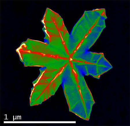Snowflake Metal Nanocrystal