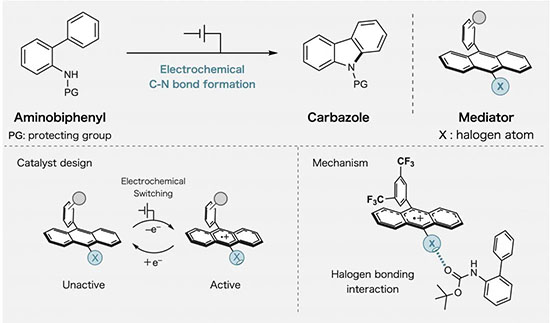 Electrochemical switching activates halogen bonding in a molecular mediator, enabling efficient and selective C–N bond formation via controlled proton-coupled electron transfer