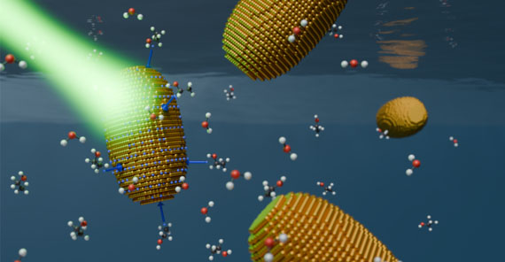 old nanorods surrounded by water and ethanol molecules. Illuminating the nanorods generates a photovoltage.