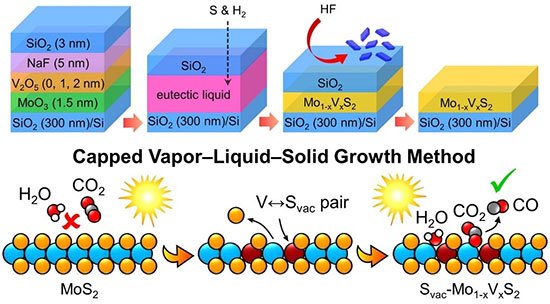 Capped vapor–liquid–solid growth of vanadium-substituted molybdenum disulfide ultrathin films