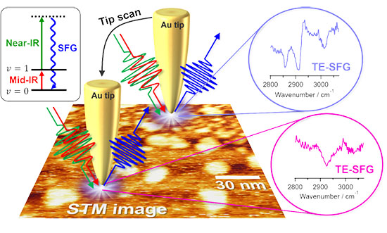 schematic illustration of tip-enhanced SFG (TE-SFG) measurements of an inhomogeneous surface molecular system beyond the diffraction limit