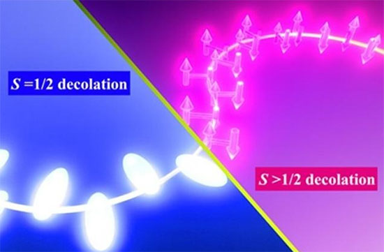 Quantum spin size determines whether the Kondo effect suppresses or preserves magnetism