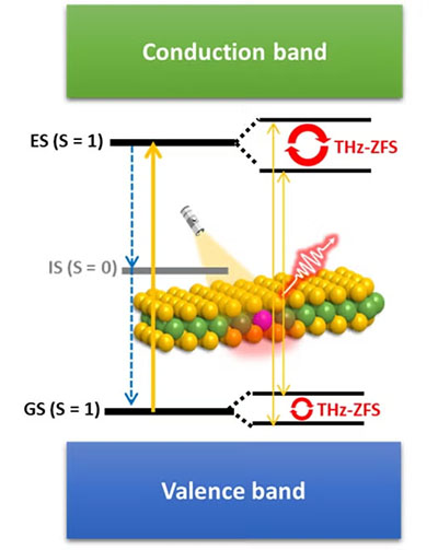 Schematic illustration of quantum terahertz (THz) qubits and emitters based on defects in two-dimensional (2D) materials