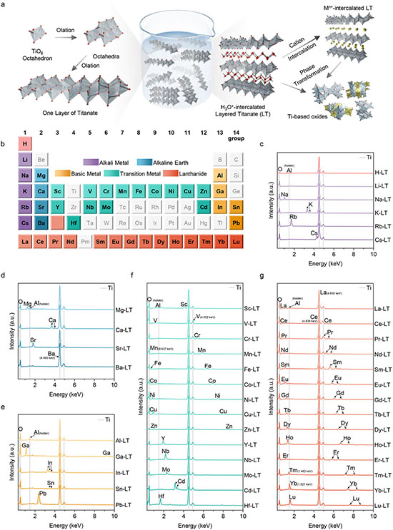 Preparation and characterization of LT and the M-LTs