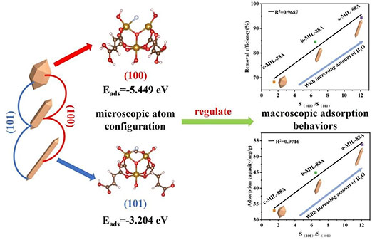 Surface-specific adsorption of fluoride on the (100) and (101) crystal facets of MIL-88 A(Fe) regulated by interface water