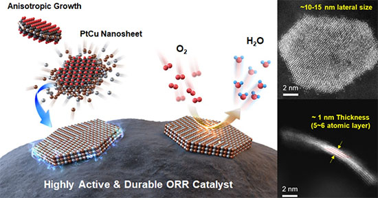 Schematic illustration of ultrathin nanosheet synthesis and transmission electron microscopy (TEM) images of the fabricated catalyst