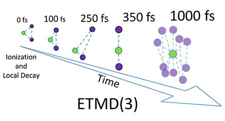 temporal development of the ETMD process.