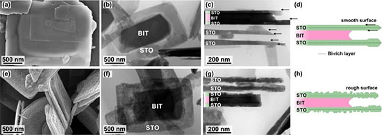 SEM and STEM micrographs of the representative SrTiO3/Bi4Ti3O12 platelets
