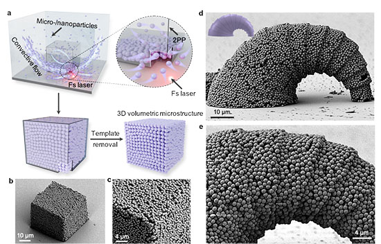Concept of the optofluidic 3D micro- and nanofabrication