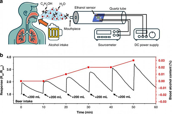 Real-time monitoring of exhaled breath ethanol concentration using the sensor