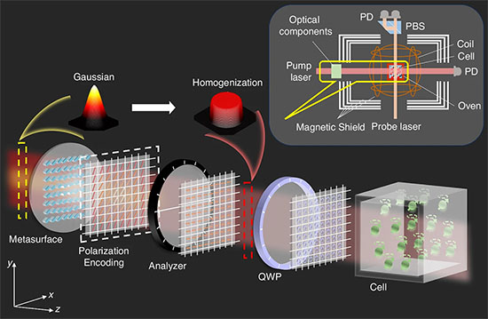 Schematic diagram of the beam homogenization method based on polarization-encoded metasurface
