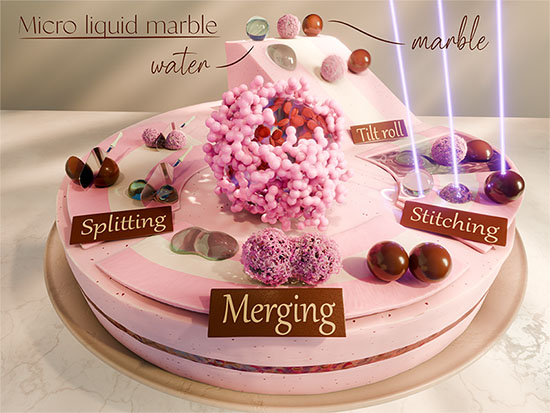 Wonderland of “micro liquid marble