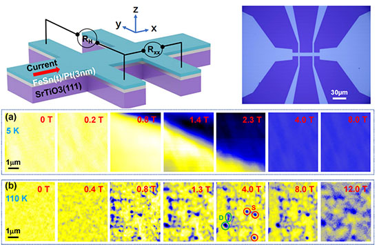 low-field magnetoresistance oscillations originate from magnetoelectric coupling associated with topological spin textures