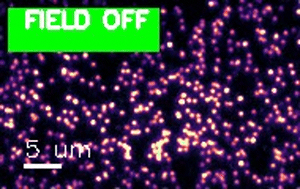 Video showing the blinking quantum dots