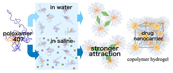 Differences in gelling behavior of poloxamer 407 depending on solvent