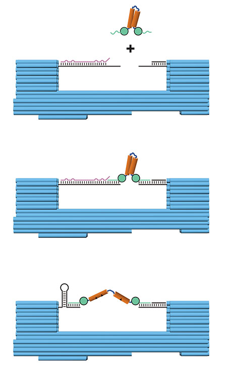 Nanodevice Design