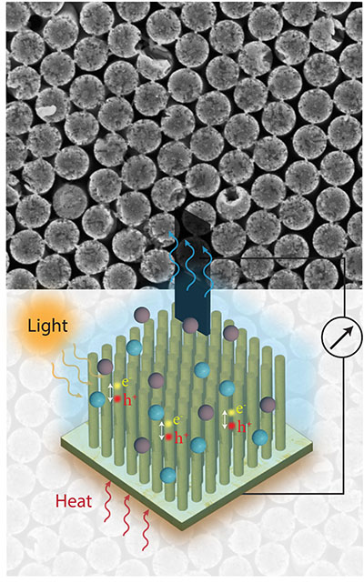 Schematic of the hydrovoltaic device with a top evaporating electrode surface and a bottom array of silicon nanopillars immersed in water