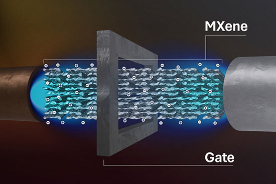 Schematic showing the setup for ion transport through a MXene membrane
