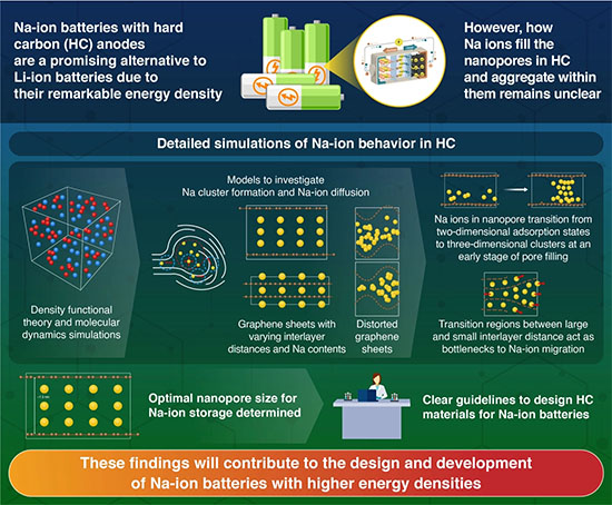 Understanding the Behavior of Sodium Ions in the Anode of Na-Ion Batteries