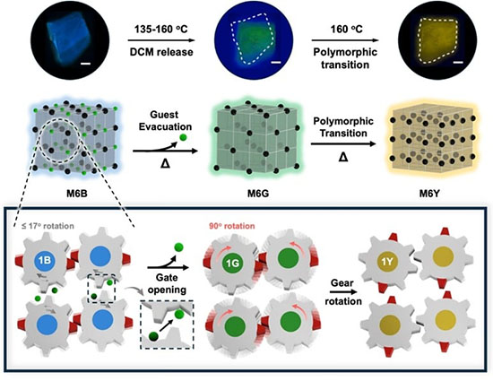 Two-stage crystal-to-crystal transformation of upon heating, accompanied by fluorescence color changes from blue to green and then to yellow