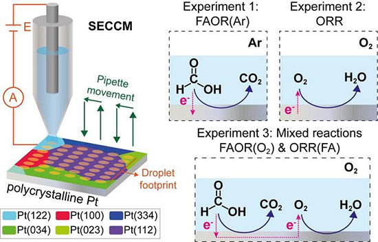 Electrochemical microscopy to image thermochemical catalysis