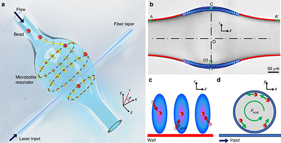 Gradient-thickness-protected WGM microbottle resonator for large-scale particle trapping.
