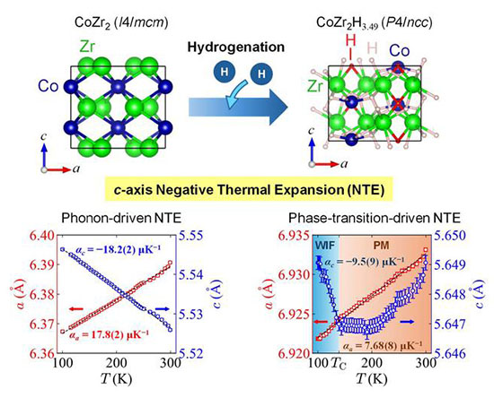 Negative Thermal Expansion in cobalt zirconide